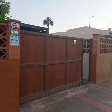 فيلة Athenea كوراليهو