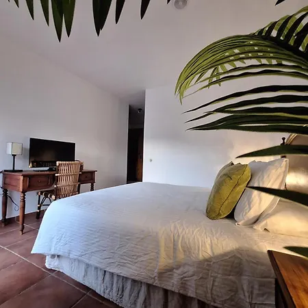 Athenea كوراليهو