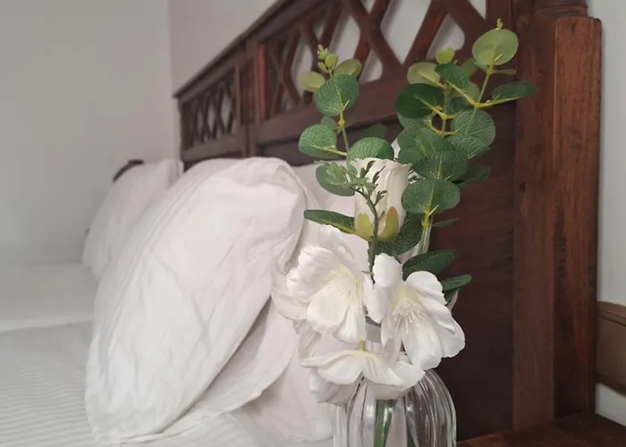 Athenea Willa Corralejo